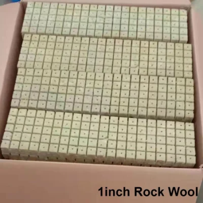 성장하는 암면 큐브 식물 성장 기질 광물 Rockwool Cube